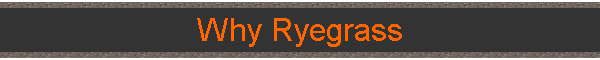 Why Ryegrass
